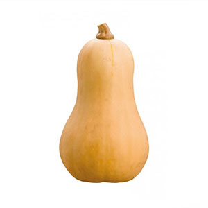 Comercial Calabaza butternut